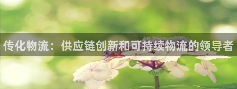 28圈游戏官网入口