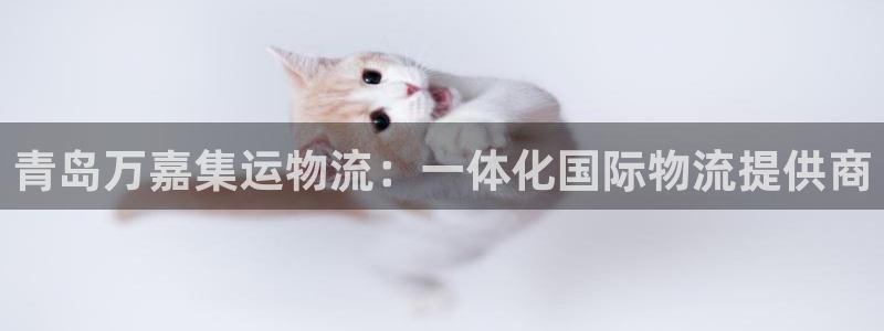 28圈注册教程