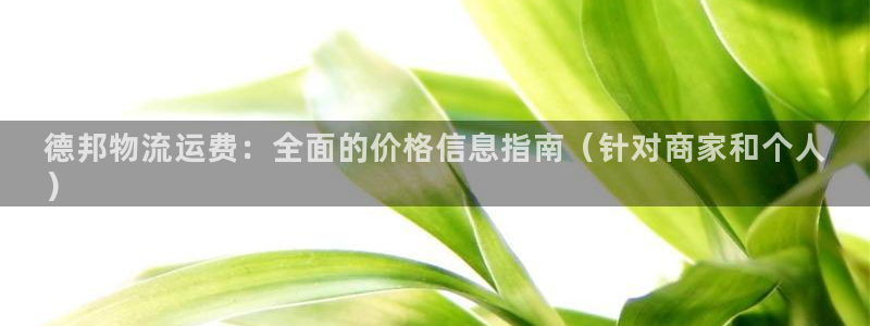 28圈充值不到账什么原因