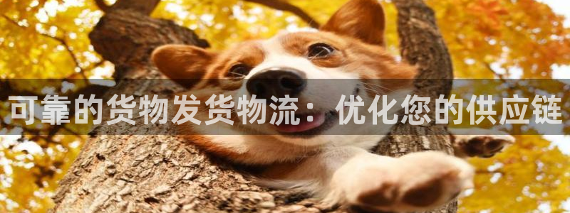 28圈p扣款什么意思