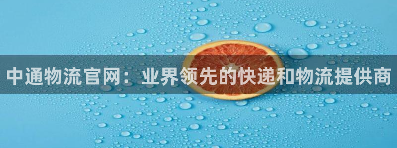 28圈官方版正版