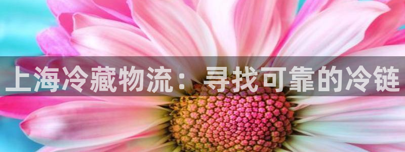 28圈加拿大能提现吗