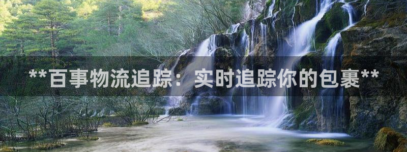 28圈预测网