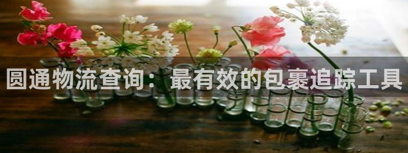 28圈充值金额随便