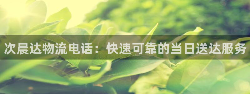 28圈娱乐官网网页下载