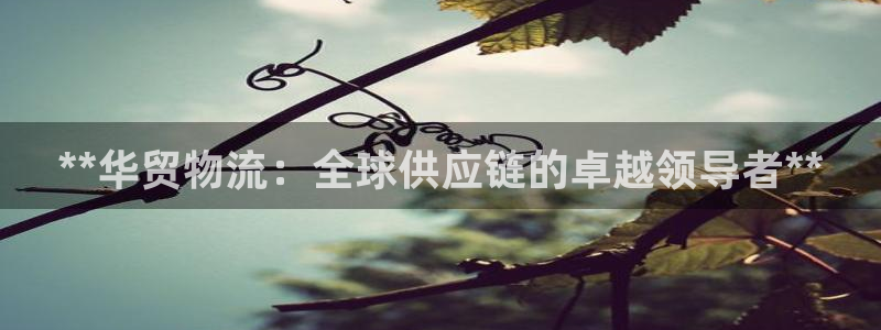 28圈黑不黑
