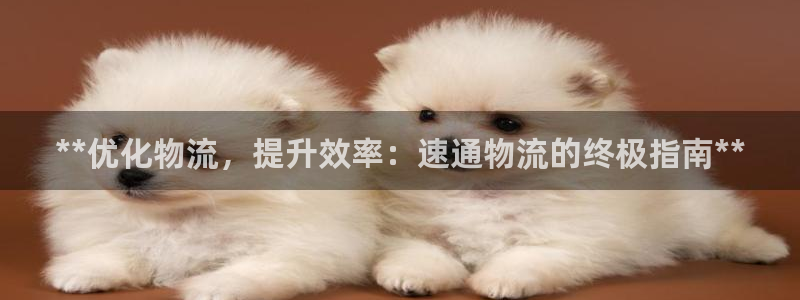 28圈注册入口与教程：**优化物流，