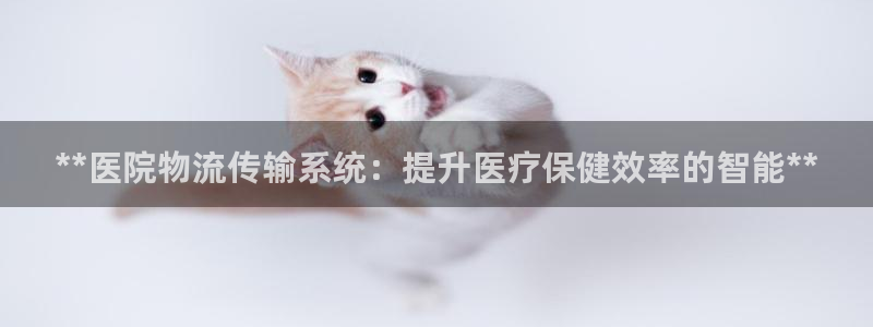28圈怎么下载教程