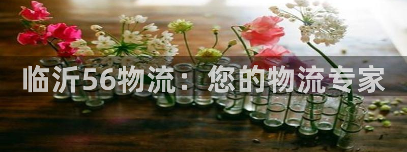 28圈官网开奖结果预测