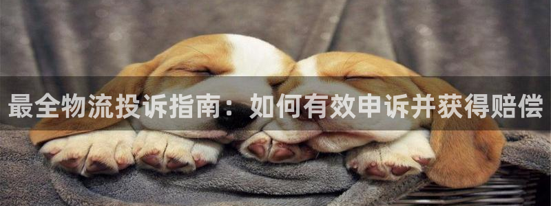 28圈为什么打不开