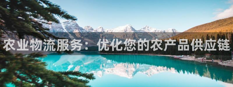 28圈注册入口与教程：农业物流服务：