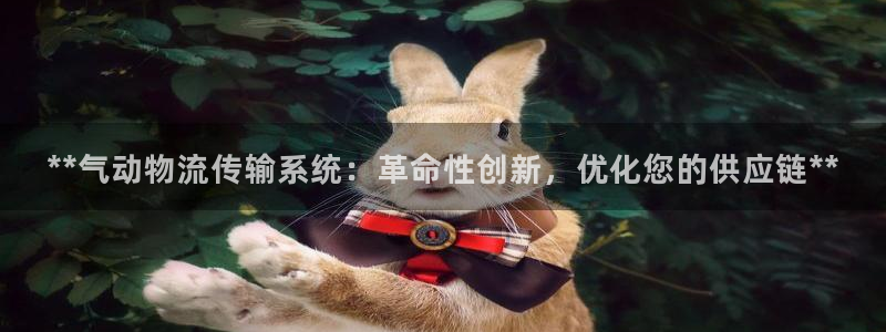28圈黑平台吗：**气动物流传输系统