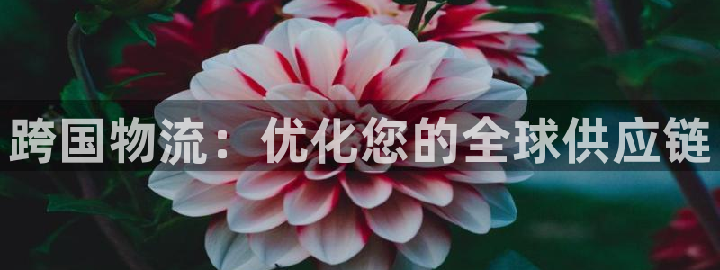 28圈游戏官网平台