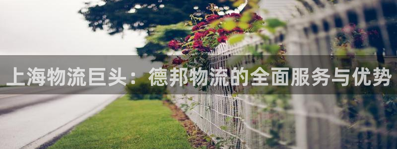 28圈注册链接：上海物流巨头：德邦物
