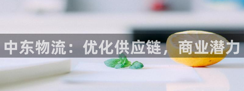 28圈加拿大下载：中东物流：优化供应