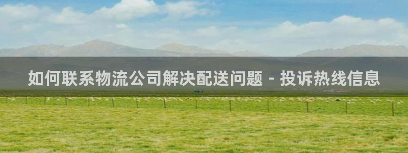 28圈官方平台