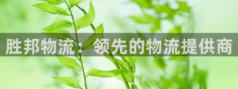 28圈充值不处理怎么办