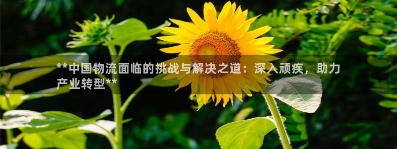 28圈初始密码在哪里修改