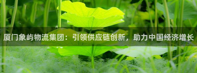 28圈注册网址百度知道：厦门象屿物流