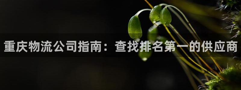 28圈aPP退款：重庆物流公司指南：