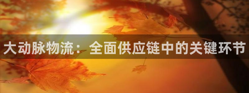 28圈是什么是赌博吗?：大动脉物流：