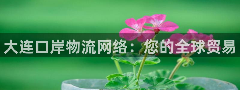 28圈p扣款什么意思：大连口岸物流网