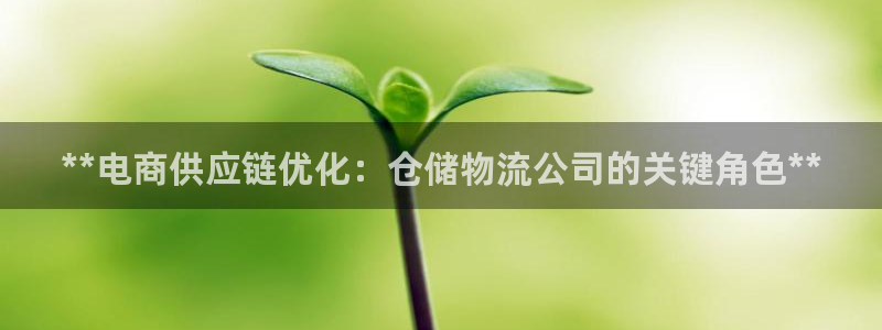 28圈加拿大下载：**电商供应链优化