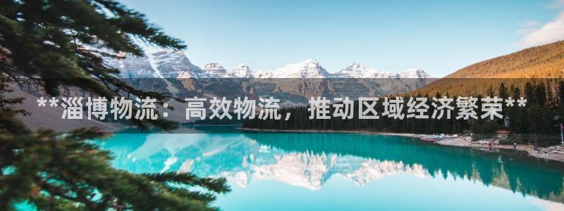 28圈注册问一问：**淄博物流：高效