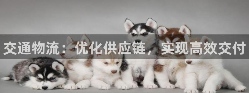 28圈加拿大：交通物流：优化供应链，