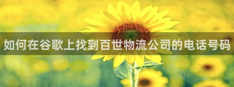 28圈游戏链接：如何在谷歌上找到百世