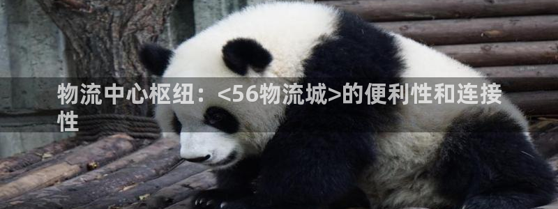 28圈pg如何退钱：物流中心枢纽：<