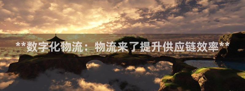 28圈赌博被抓：**数字化物流：物流