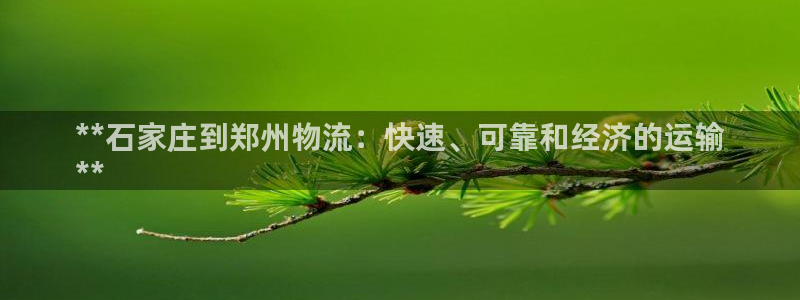 28圈是什么是赌博吗?：**石家庄到
