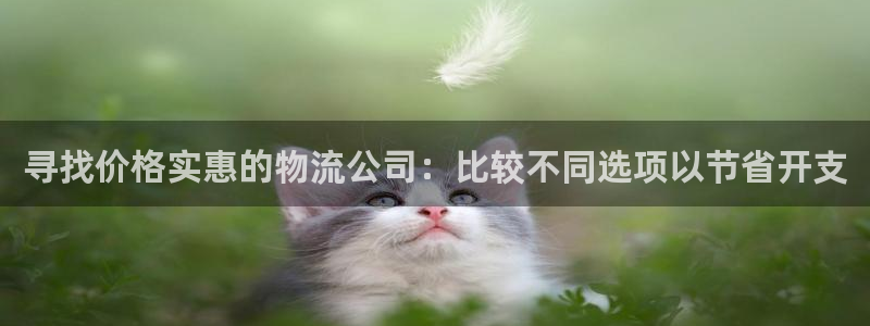 28圈aPP退款：寻找价格实惠的物流
