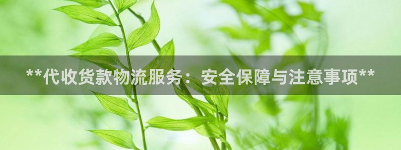 28圈辅助