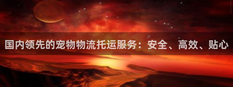 28圈注册链接：国内领先的宠物物流托