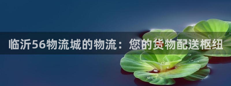 28圈稳吗：临沂56物流城的物流：您
