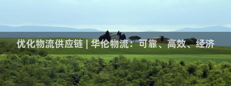 28圈充值不到账：优化物流供应链 |