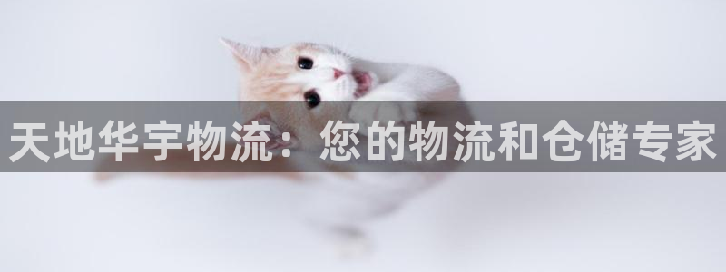 28圈加拿大：天地华宇物流：您的物流