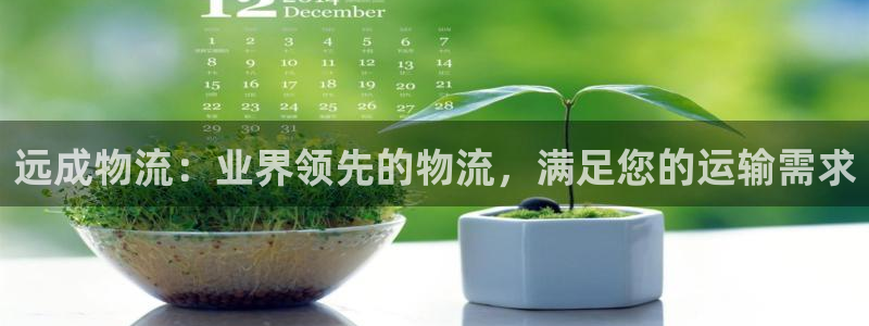 28圈加拿大预测：远成物流：业界领先