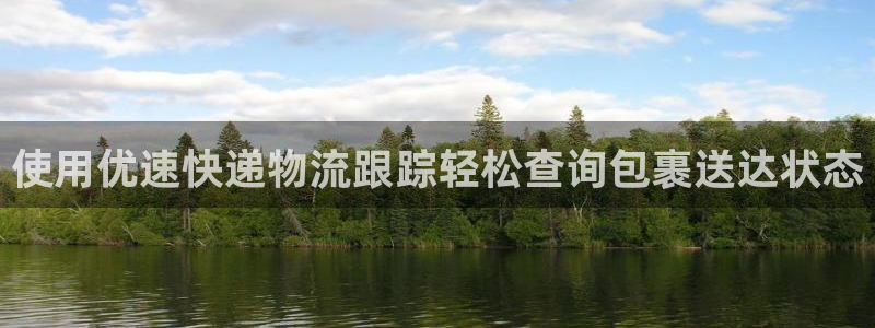 28圈麻将胡了：使用优速快递物流跟踪