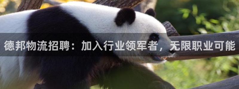 28圈口戒指是多大：德邦物流招聘：加
