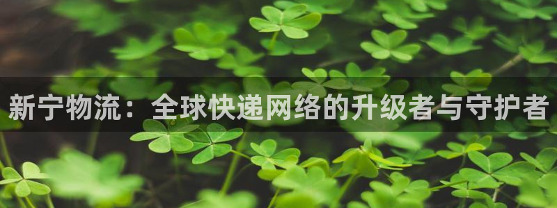 28圈pc预测