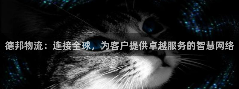 28圈黑款