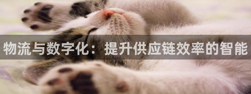 28圈辅助