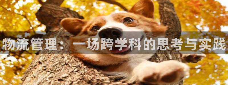 28圈反水：物流管理：一场跨学科的思