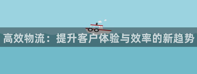 28圈游戏链接：高效物流：提升客户体