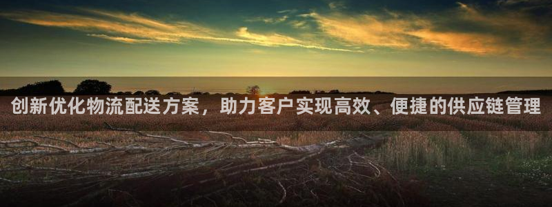 28圈反水什么时候到：创新优化物流配