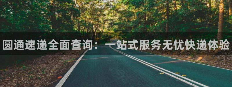 28圈电子游戏：圆通速递全面查询：一