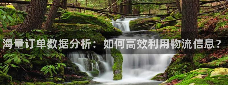 28圈充值方式：海量订单数据分析：如